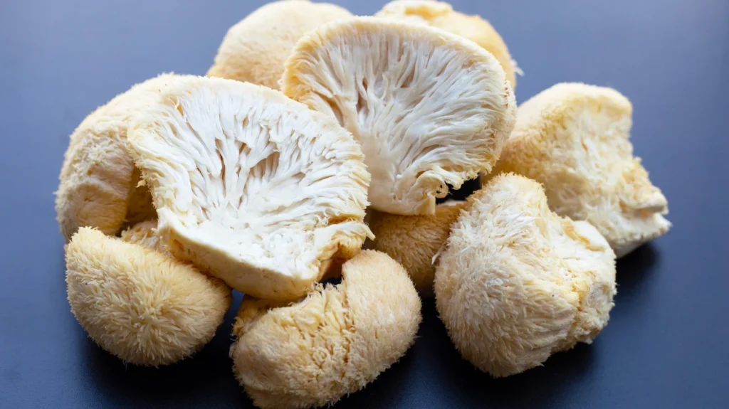 lion’s mane mushroom memory and cognitive Function